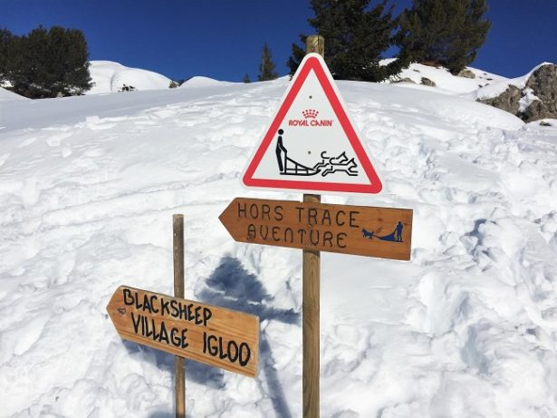 activites-hors-ski-la-plagne-traineau activites-hors-ski-la-plagne-traineau