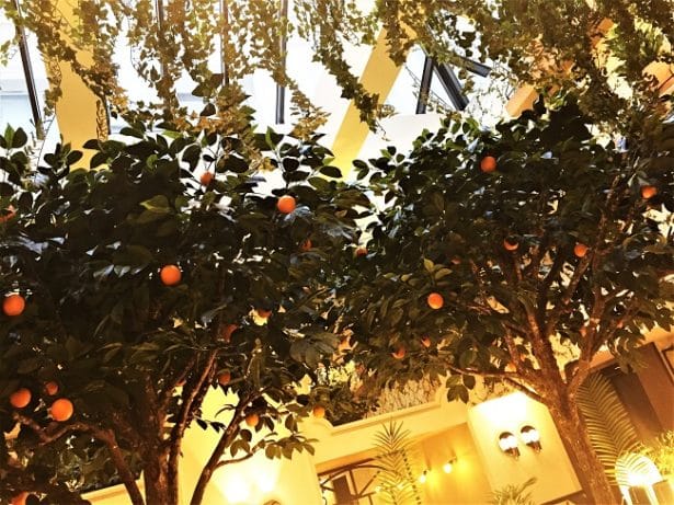 hotel-royal-madeleine-paris-verriere