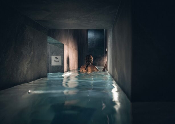 SPA piscine Le Parc Hôtel Obernai