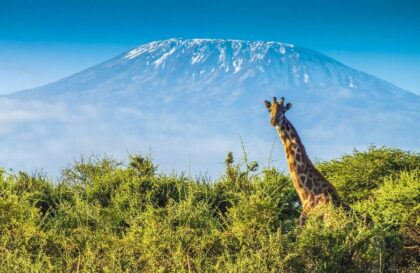 Vacances en Tanzanie