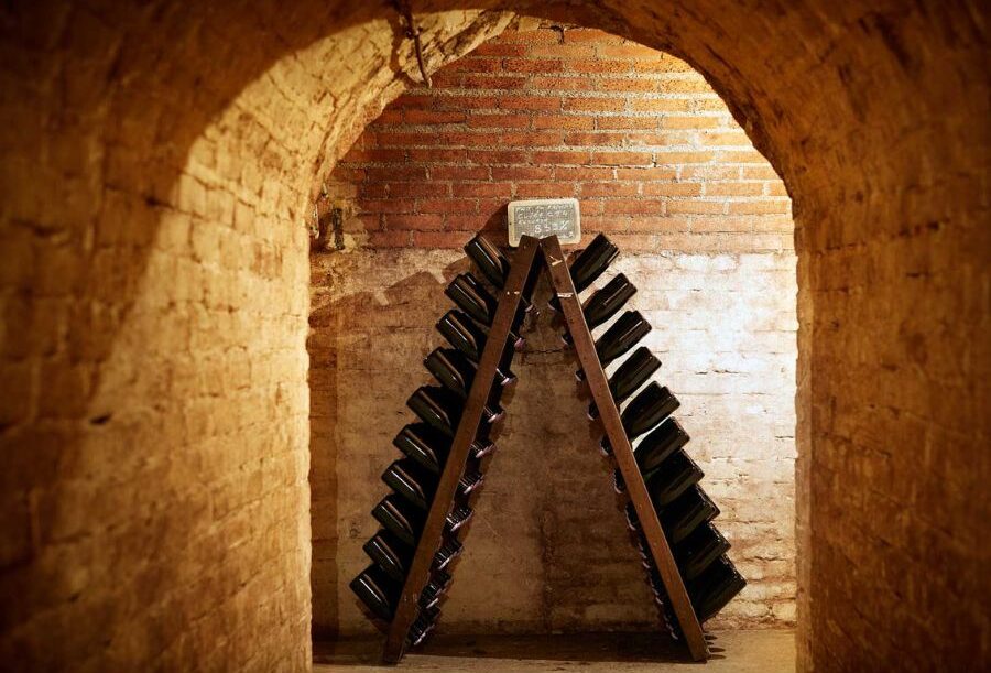 Visite de caves de champagne