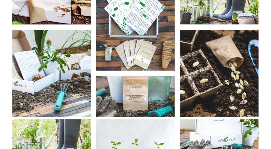 Raveenala, la box de jardinage tout-en-un pour les jardiniers amateurs et confirmés