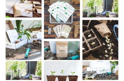 Raveenala, la box de jardinage tout-en-un pour les jardiniers amateurs et confirmés