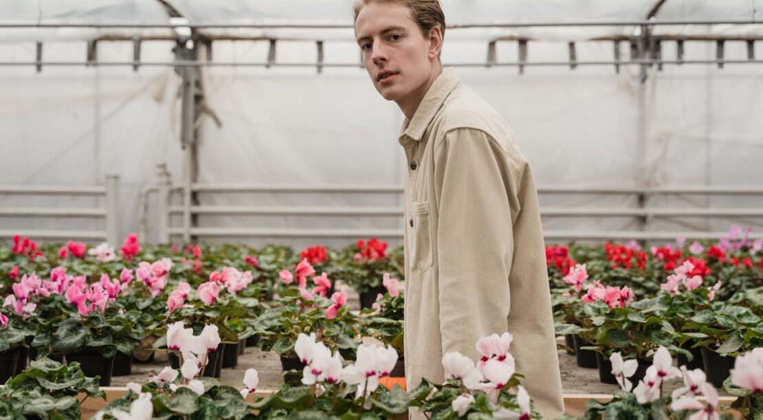 aménager un jardin sec