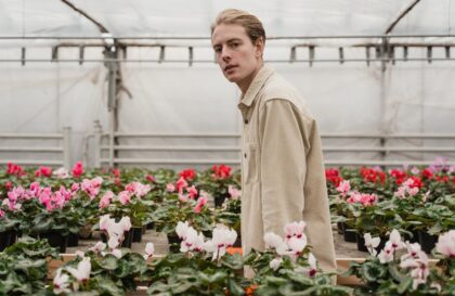 aménager un jardin sec