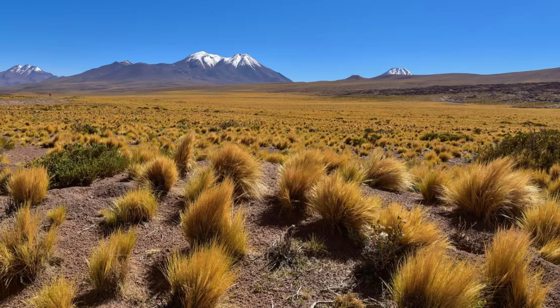Voyages organisés en Équateur : à la découverte de paysages exceptionnels
