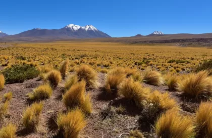 Voyages organisés en Équateur : à la découverte de paysages exceptionnels