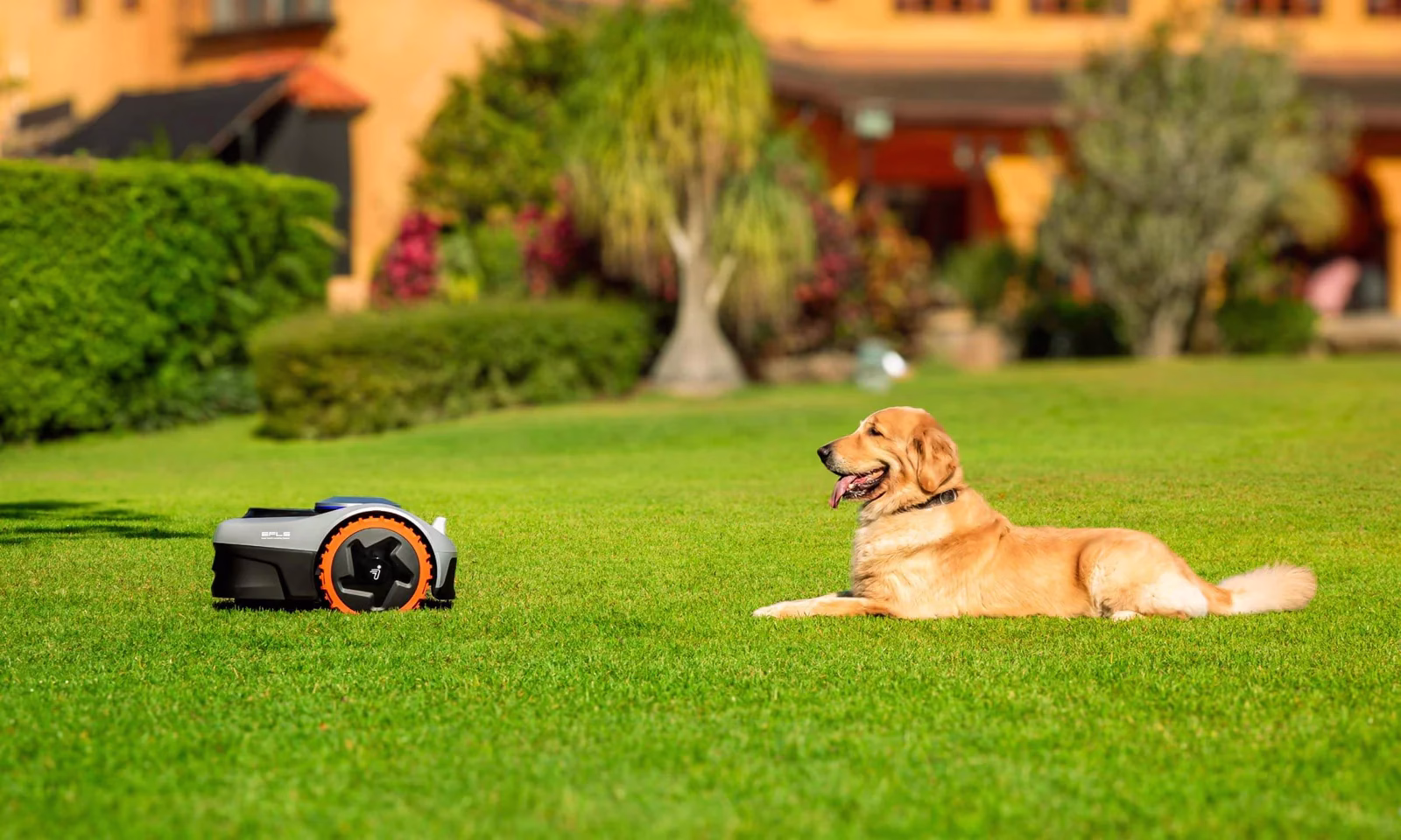 Robot tondeuse Segway Navimow i105