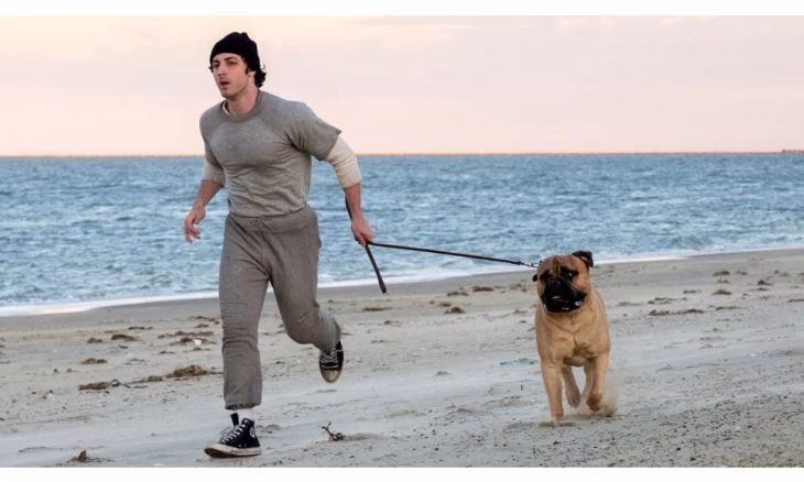 I Play Rocky