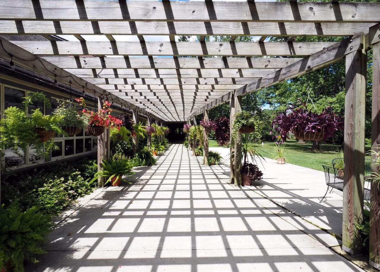 Grande pergola en bois