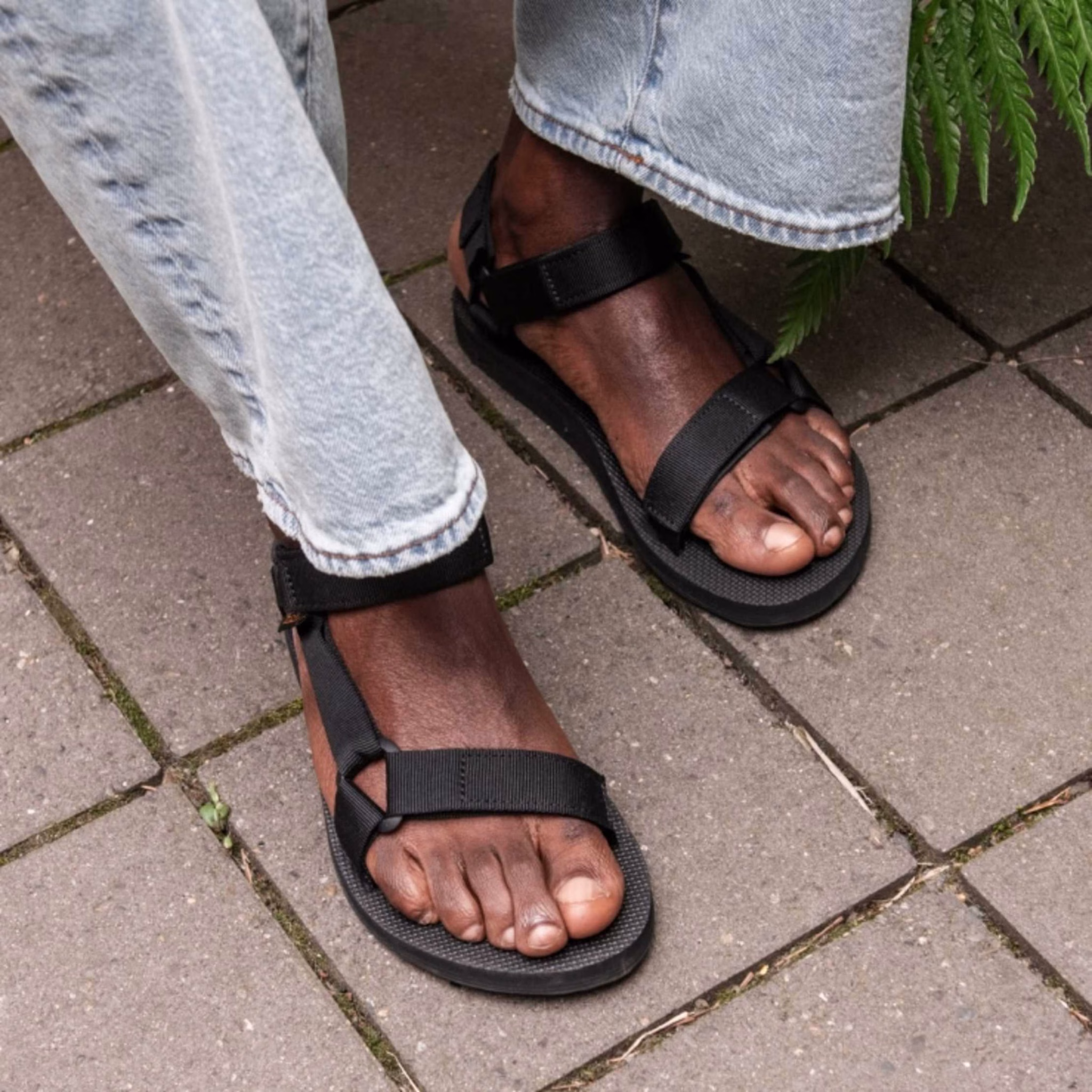TEVA HURRICANE